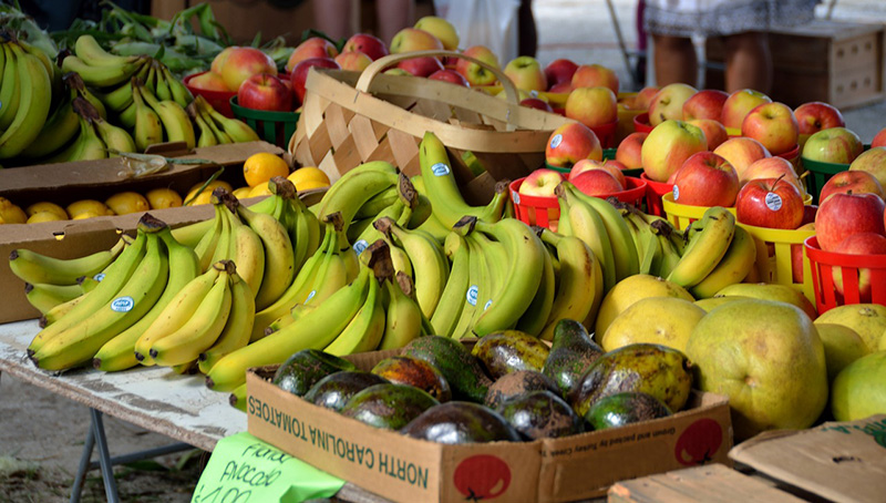Exportación frutas y hortalizas - Blog Unagras